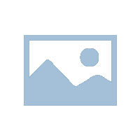 3 月 PMI 重返扩张区间 中国经济企稳回升 内外扰动下的韧性突围